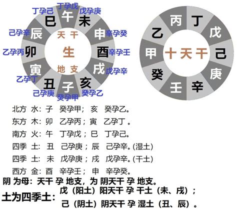 己年生人|十天干（甲、乙、丙、丁、戊、己、庚、辛、壬、癸）四化浅谈 –